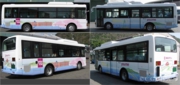 江田島バス（中型）